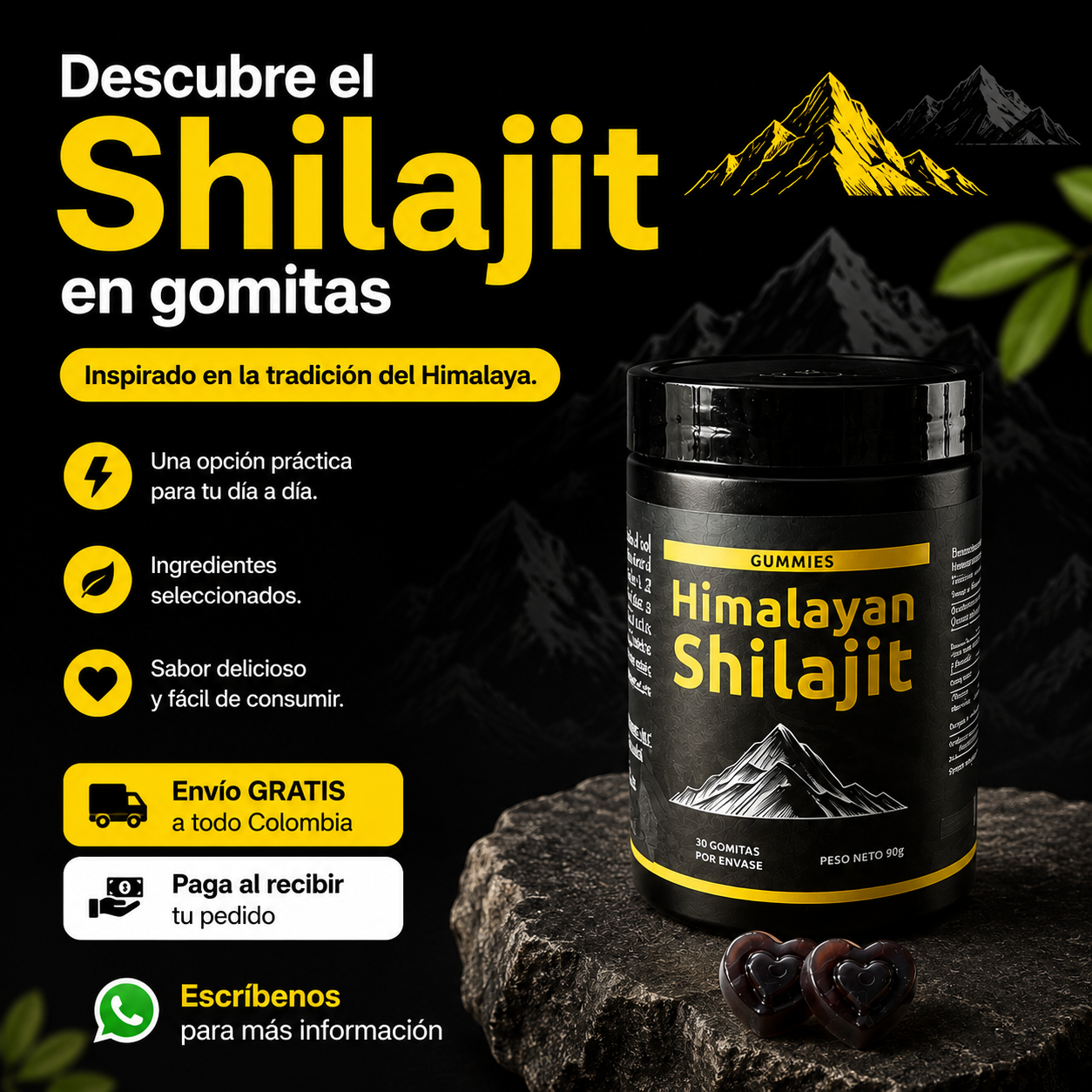 Gomas Shilajit del Himalaya